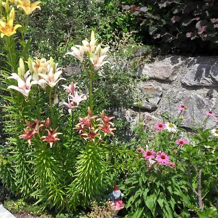 公寓 In Der Weinleiten *