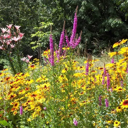 In Der Weinleiten * 米尔施塔特