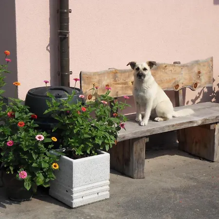 In Der Weinleiten 公寓 米尔施塔特