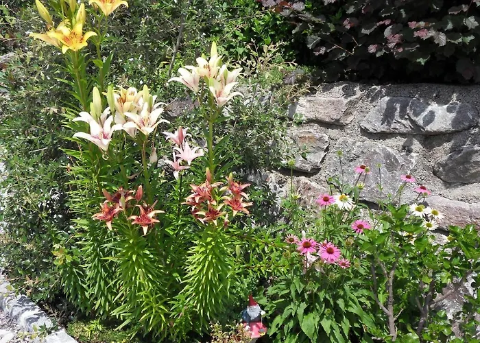 Apartmán In Der Weinleiten *