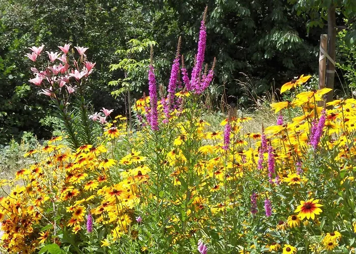 In Der Weinleiten * ミルシュタット