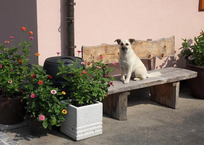 In Der Weinleiten アパート ミルシュタット