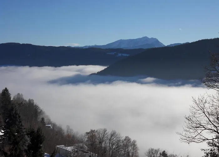 In Der Weinleiten アパート ミルシュタット